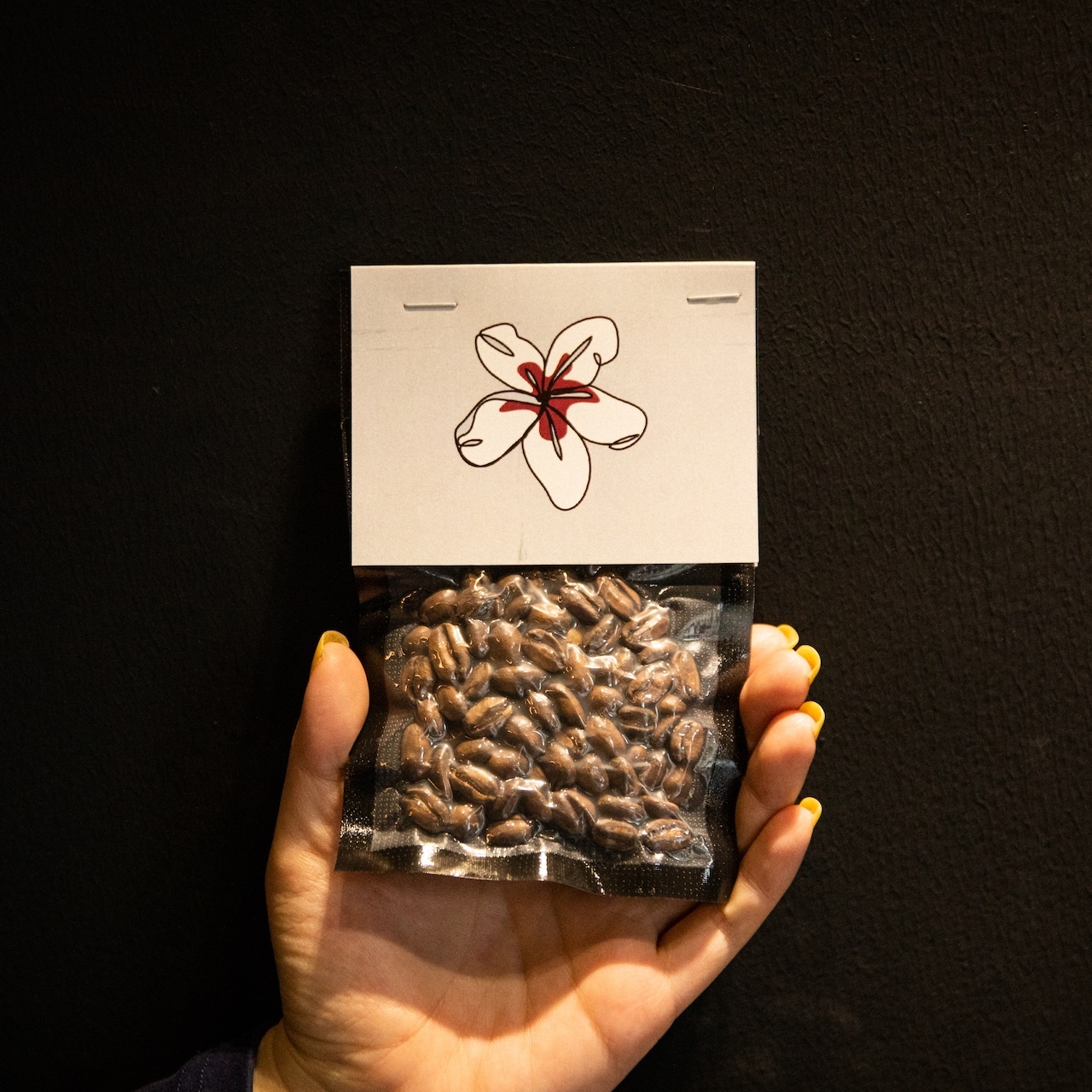 绝对小孩手冲咖啡单杯品鉴装