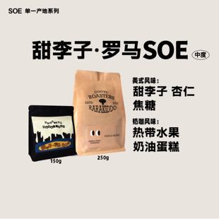 【甜李子·罗马SOE】绝对小孩哥斯达黎加黑蜜意式手冲咖啡豆