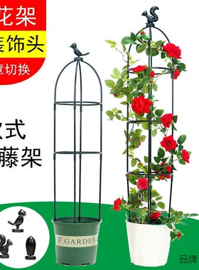 园艺藤本月季爬藤支撑架玫瑰盆栽花架 植物U型爬藤架支架支柱