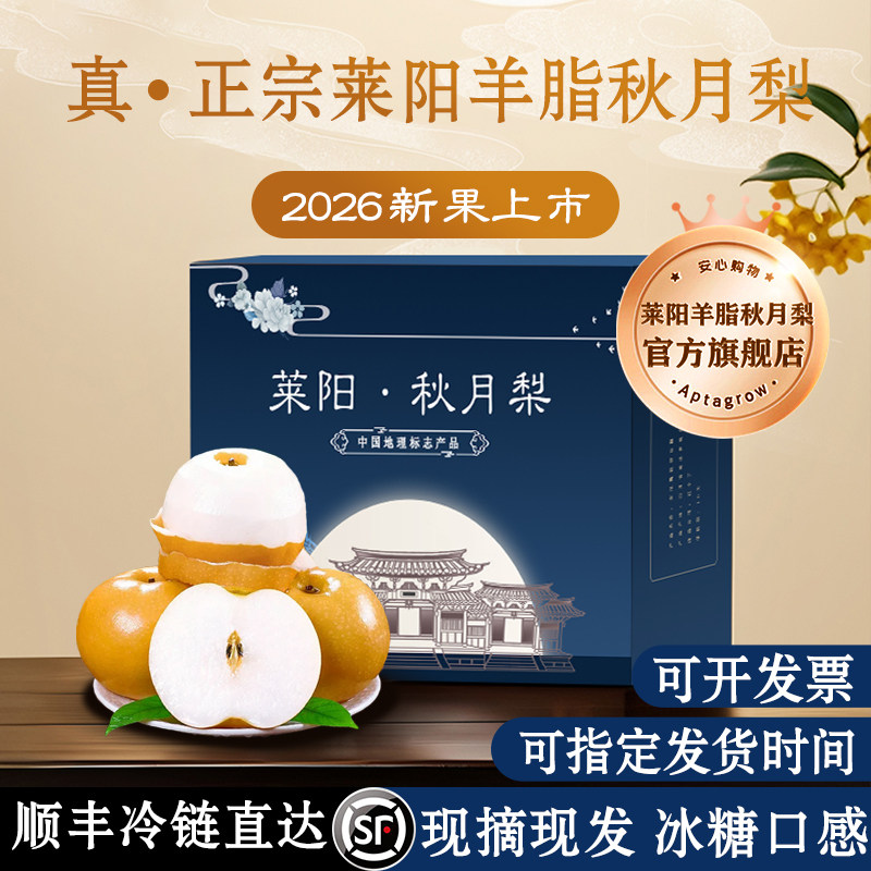 正宗莱阳羊脂秋月梨现摘现发顺丰