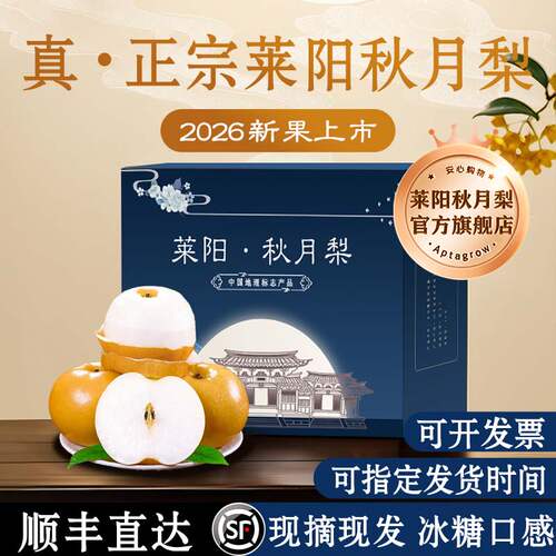 正宗莱阳秋月梨现摘现发顺丰直达