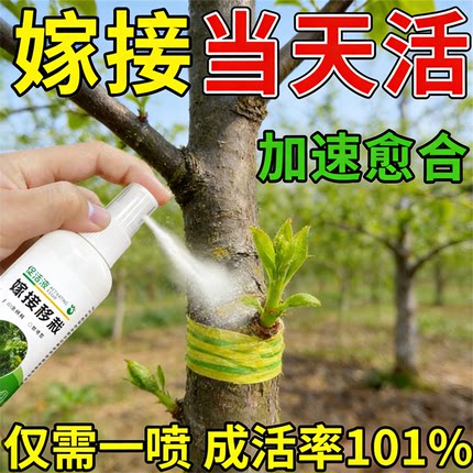 植物嫁接伤口愈合剂果树花卉嫁接切口促活液盆景树桩大树嫁接神器