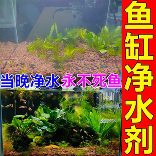 鱼缸净水剂特清一滴清水质清澈剂专用硝化细菌养鱼不伤鱼水立清