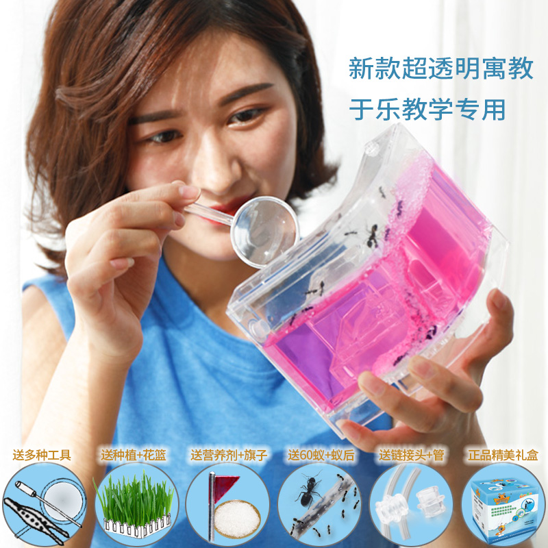 蚂蚁城堡蚂蚁工坊生态沙巢活体小宠物别墅家园庄园盒子弓背蚁后窝