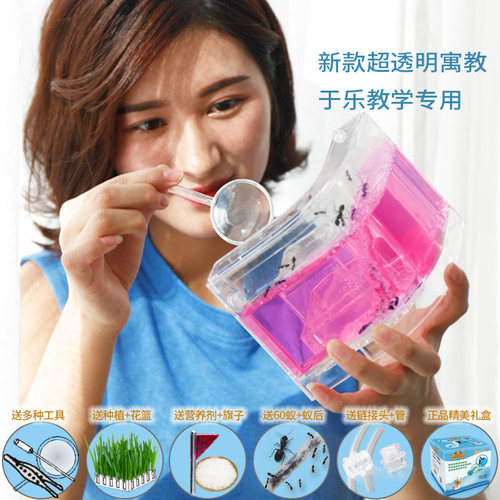 蚂蚁城堡蚂蚁工坊生态沙巢活体小宠物别墅家园庄园盒子弓背蚁后窝