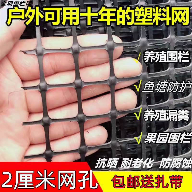塑料围栏网格小孔两厘米户外家用防护养殖漏粪果蔬大棚护果防鸟网