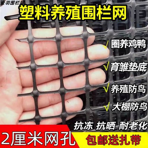 优质塑料围栏网格小孔养殖网户外加密防护漏粪果蔬大棚护果防鸟网