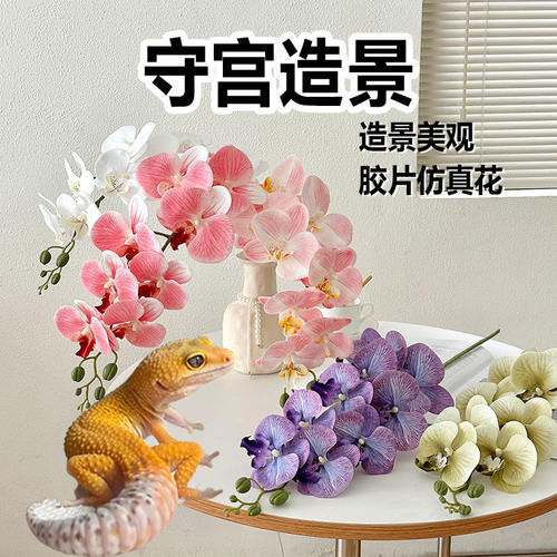 守宫造景躲避屋攀爬蝴蝶兰仿真花植物睫角豹纹蜥蜴爬宠用品大全