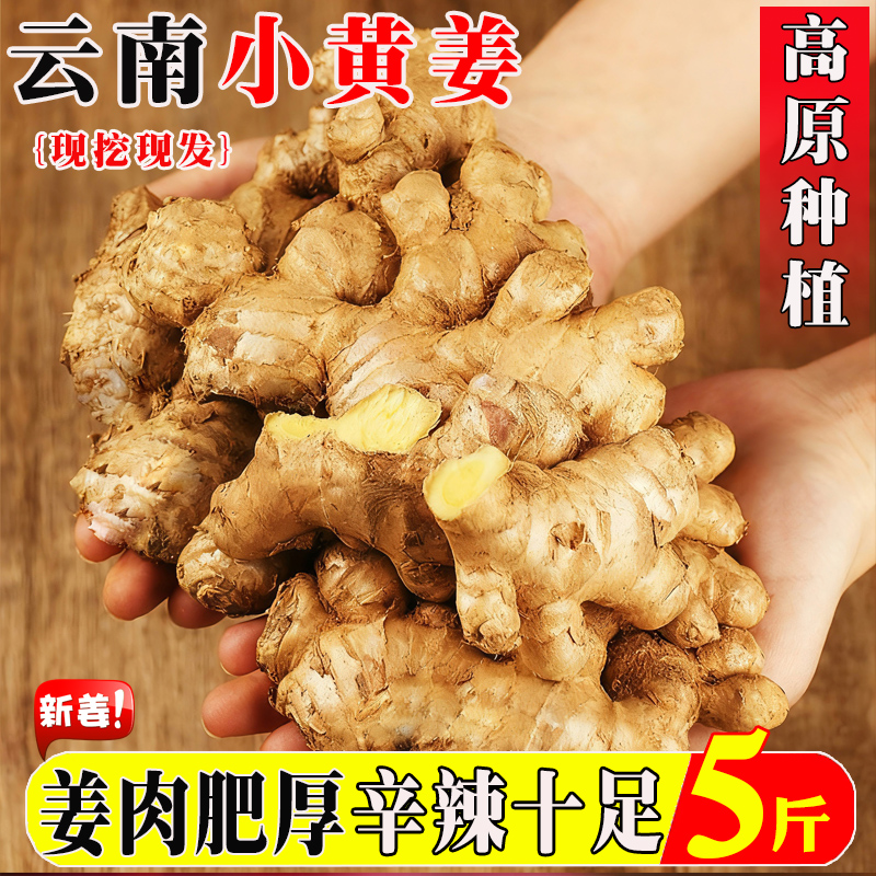 『官方推荐』正宗云南小黄姜9斤