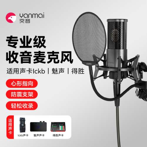 唱歌专业麦克风悬臂声卡专用麦