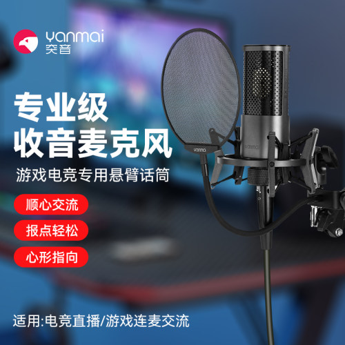 专业级麦克风游戏直播电竞交流