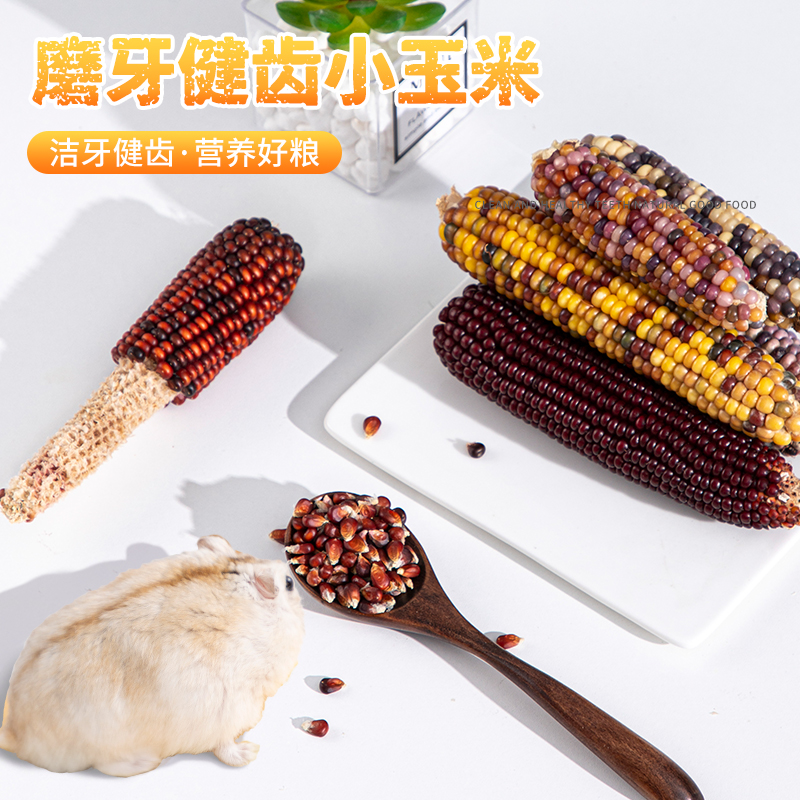 仓鼠零食磨牙小玉米棒金丝熊夏季主粮食饲料造景用品吃的食物大全