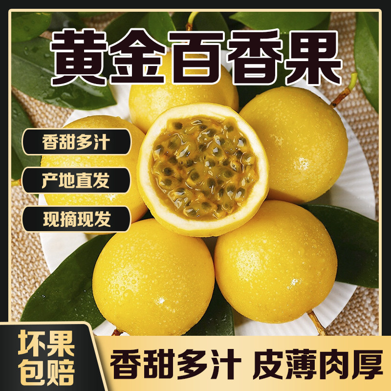 广西钦州钦蜜9号黄金百香果