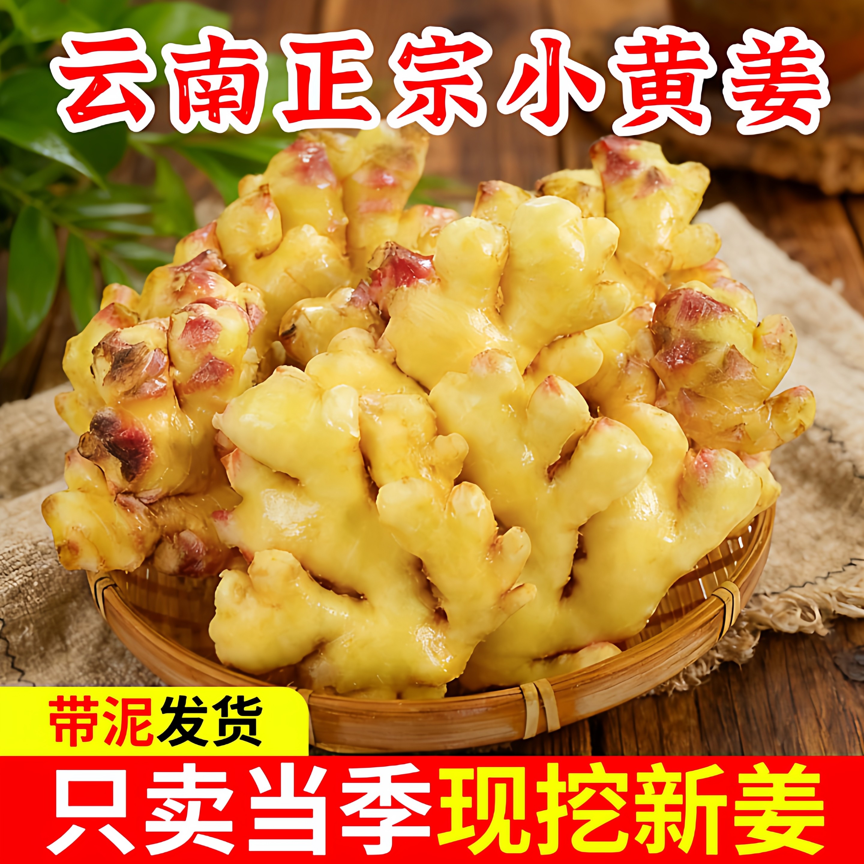 新姜云南高山小黄姜新鲜生姜现挖嫩姜5斤土姜仔姜农家蔬菜批发