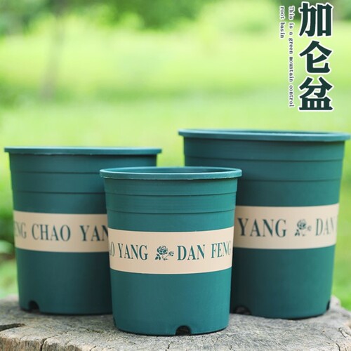 带盆栽好，适合没有准备盆土的花友