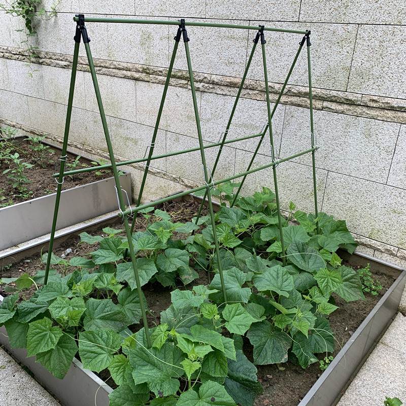 园艺藤蔓植物搭菜架子豇豆角黄瓜丝瓜西瓜爬藤架子立体蔬菜种植架