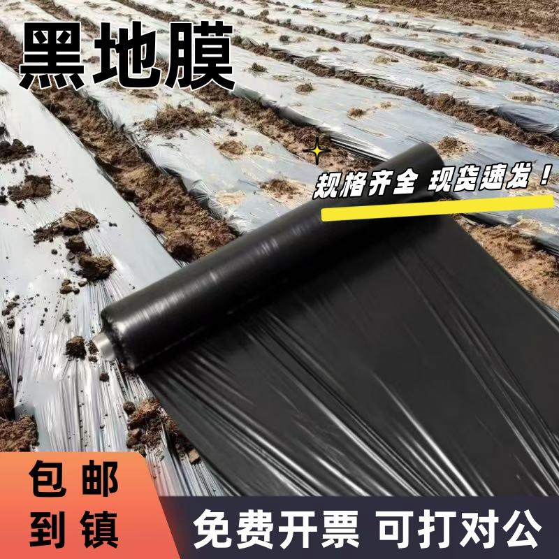 除草黑色地膜农用种植果园蔬菜防长草种菜黑地膜果树塑料薄膜加厚