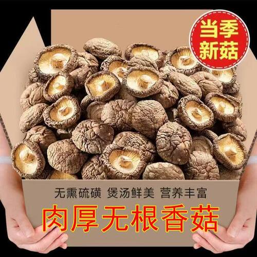 古田干香菇肉厚无根煲汤炒菜