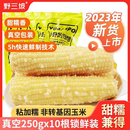 野三坡新鲜采摘玉米白糯玉米10棒真空粘黏野三坡旗舰店真空糯玉米