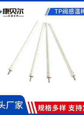 TP阀感温棒温度压力安全阀石蜡温包锅炉泄压阀排气安全阀门感温包