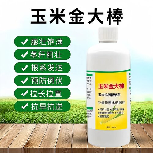 玉米金大棒生根壮苗专用肥水溶肥