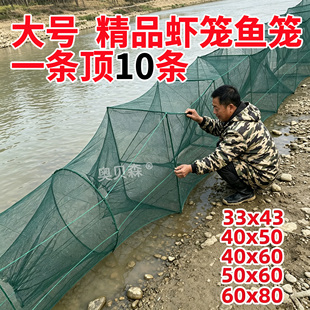 小龙虾专用笼虾网鱼笼养殖渔网新型大鱼大框大进口进鱼笼无结笼子