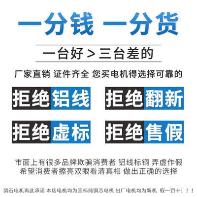 YE4三相异步电动机380V 11/15/18.5/22/37/45/55KW 二级能效电机