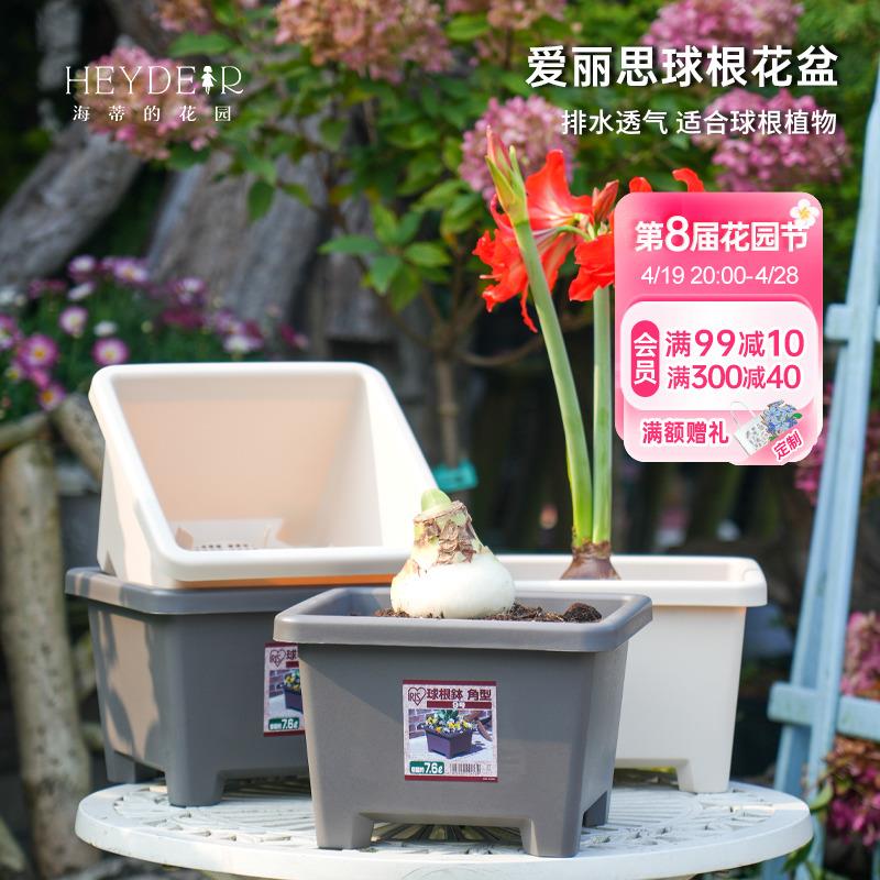 海蒂的花园爱丽思圆形方形球根花盆简约花卉绿植植物阳台庭院栽种