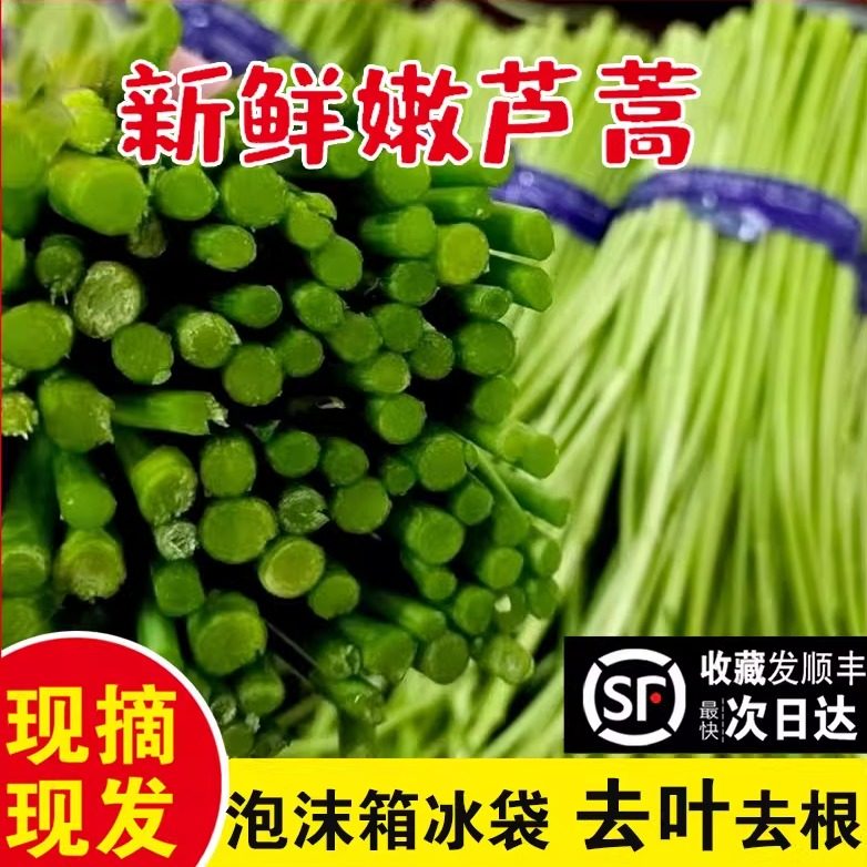 去老根去叶品质芦蒿新鲜黎蒿苏北农家自种篱蒿时令蔬菜泥蒿黎蒿菜,水产肉类/新鲜蔬果/熟食,其它,淘宝优惠券,粉丝福利购,淘宝优惠卷