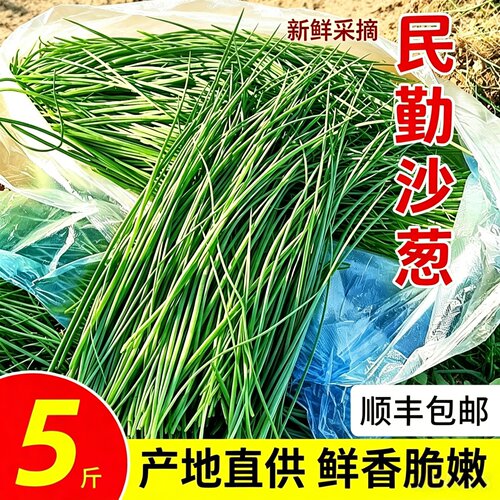 顺丰民勤现摘沙葱火锅食材