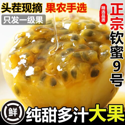 正宗广西百香果黄金钦蜜9号新鲜孕妇水果现摘应季九号纯甜鲜香果