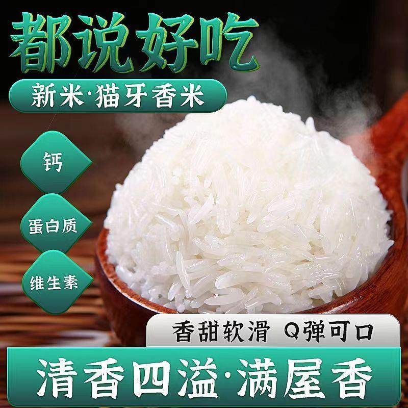 广西2024年新米正宗猫牙米10斤农家香米长粒香大米丝苗米煲仔饭米,粮油调味/速食/干货/烘焙,方便粉丝/粉条,淘宝优惠券,粉丝福利购,淘宝优惠卷