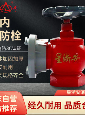星浙安品牌SN65型室内消火栓公称