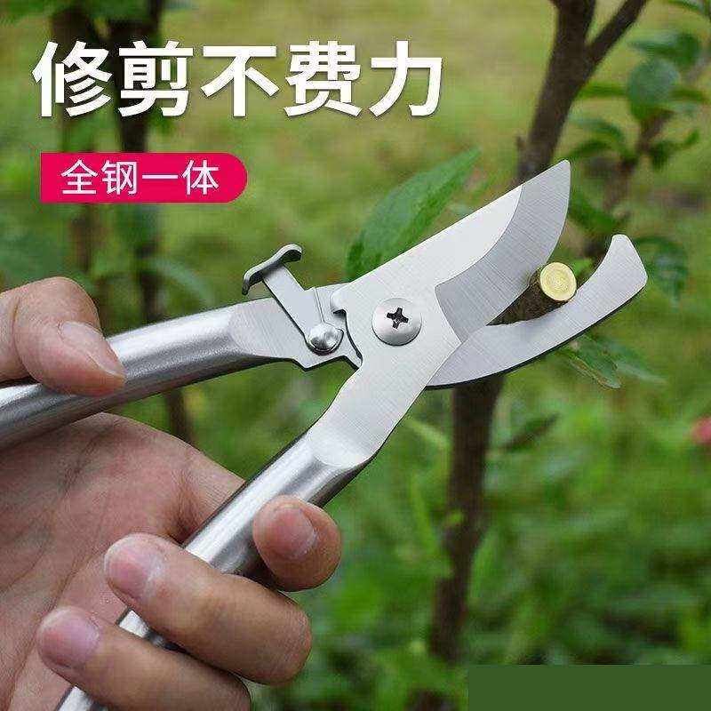 全钢修枝剪304全不锈钢剪树枝专用剪子强力剪枝园林家用花艺剪刀