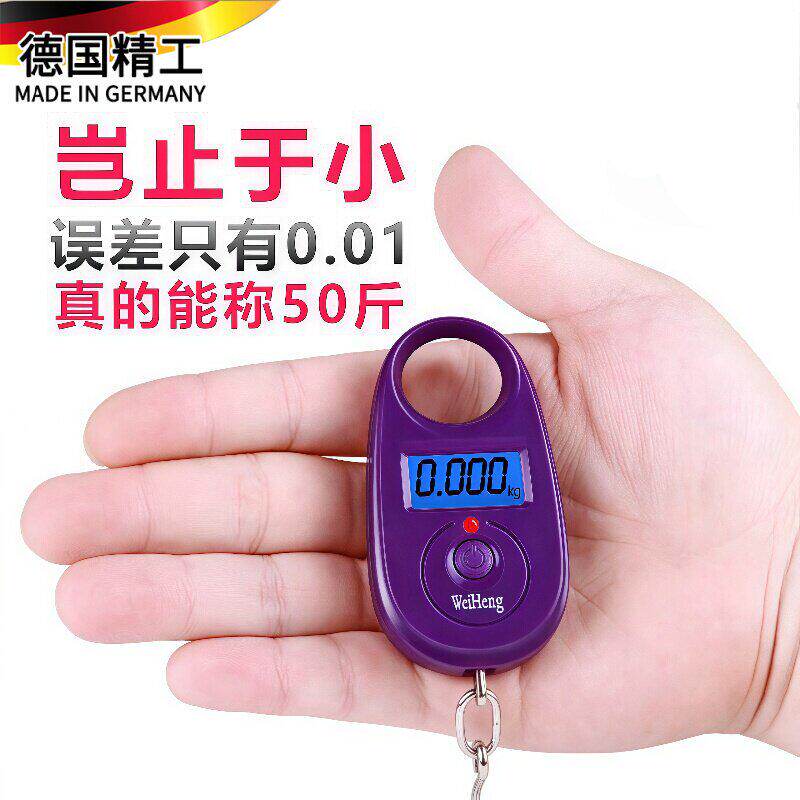 德国称鱼器称重手提电子秤勾子称便携小型专用买菜精准家用手持