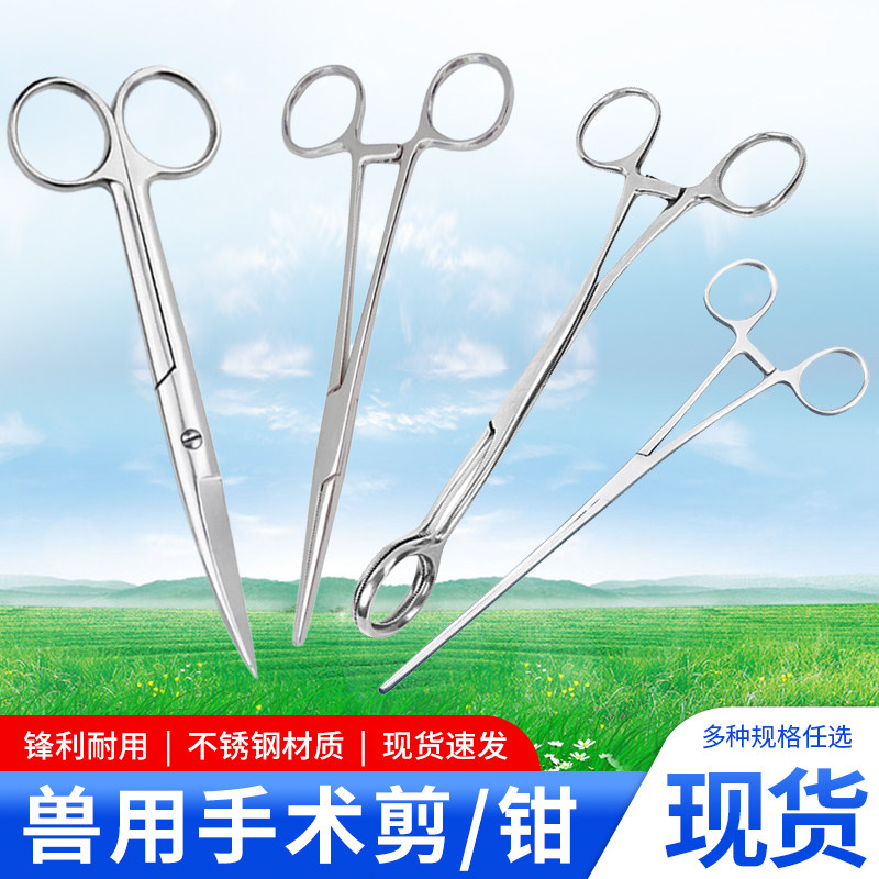 兽用不锈钢手术剪止血钳拆线剪舌钳猪牛羊宠物手术剪刀直尖弯圆头