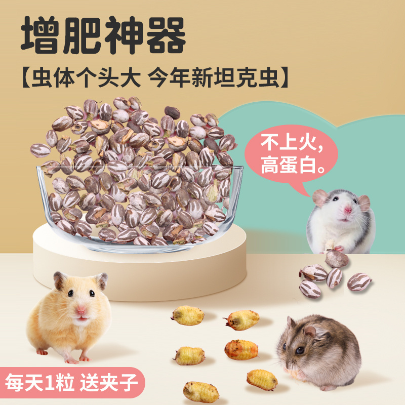 仓鼠金丝熊花枝鼠蜜袋鼯小零食飞鼠高蛋白营养长胖增肥活虫坦克虫