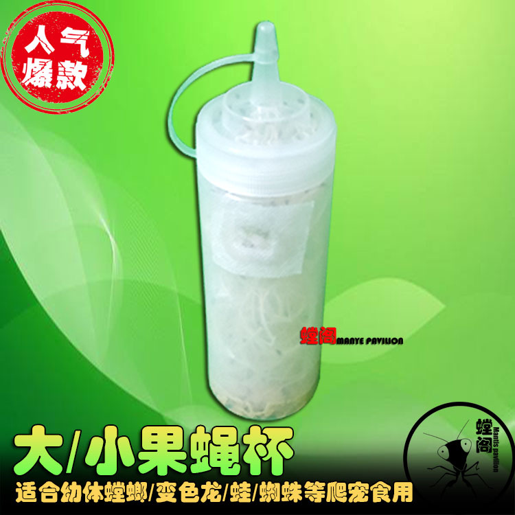 果蝇杯果蝇活体残翅大果蝇杯无翅小果蝇杯实验蝇角蛙蜘蛛螳螂饲料