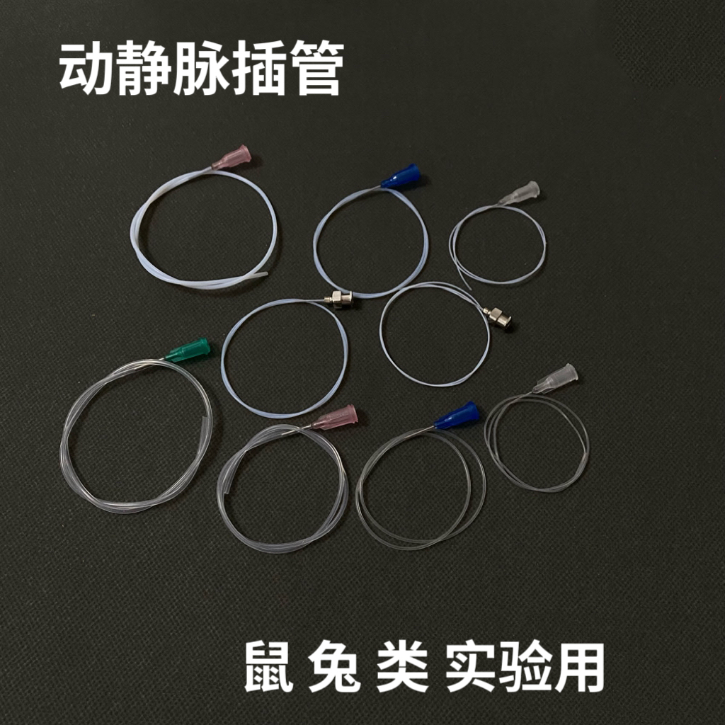 小鼠动脉插管大鼠静脉插管鼠兔动脉插管实验用