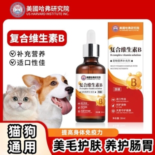宠物复合维生素B溶液猫咪营养不良狗狗促消化提高免疫力促进吸收
