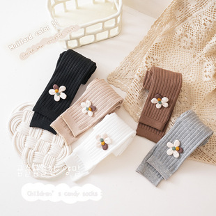 袜春秋中厚九分裤 外穿女宝宝打底袜不连脚a类棉 儿童裤 女童打底裤