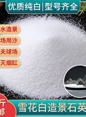 石英砂白沙白色细沙子造景沙鱼缸底砂枯山水垃圾桶烟灰缸纯白砂