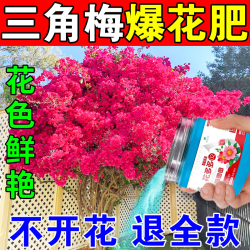 三角梅开 花专用肥料花多多2号专用营养液开 花粉茶花月季花营养