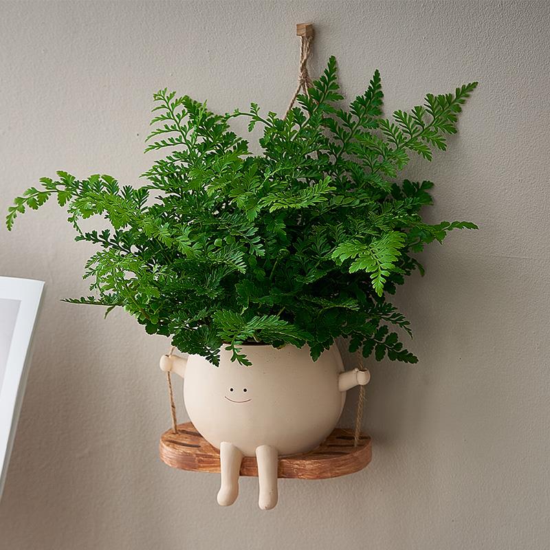 【大号荡秋千花盆】吊兰植物盆栽洗手间新家挂画 画替代有趣盆栽