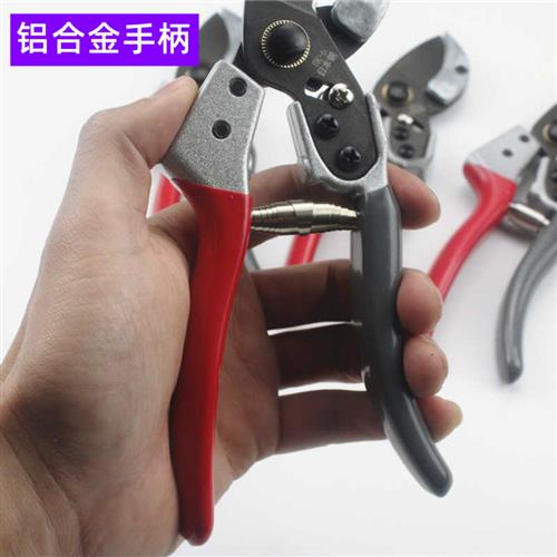 不锈钢树枝剪果树修枝剪果枝剪园艺剪刀家用省力花枝剪花艺修剪刀