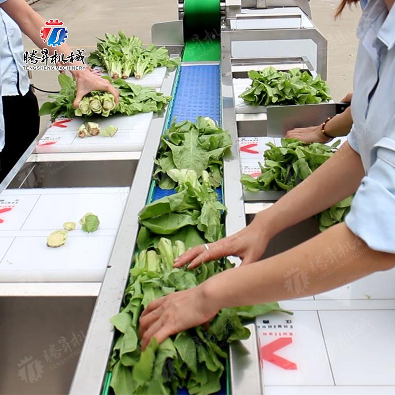 品加UNX工多工位输送工选挑台 果蔬加生食产流水线设备