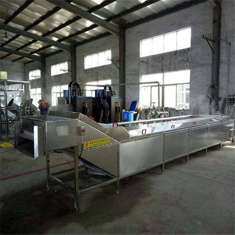 供应宁夏枸杞全自动不锈钢清洗机烘干机葡萄干气泡清洗机