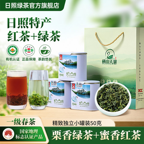 春采新茶浓香栗香型日照绿茶