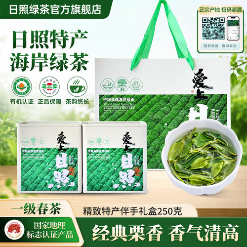日照特产海岸绿茶伴手礼盒250g