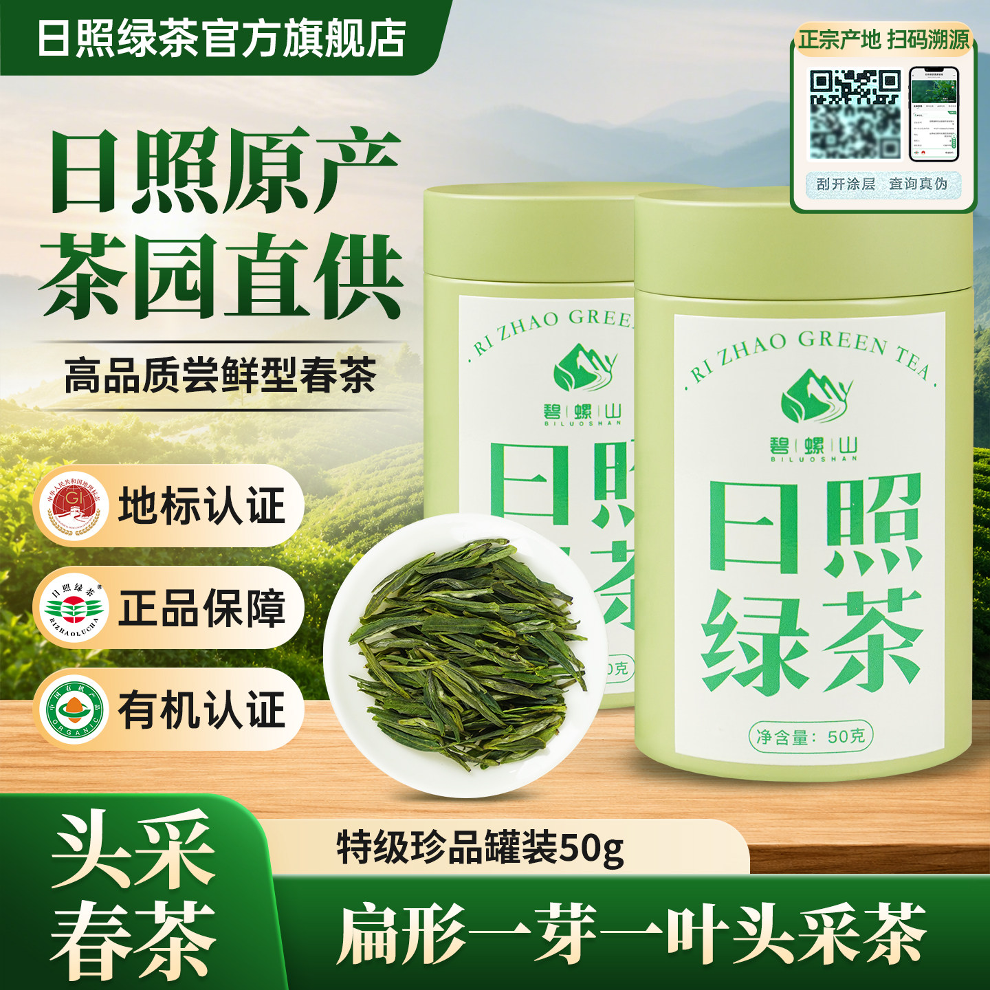 日照绿茶2026特级新茶叶自己喝正宗板栗浓香型罐装春茶官方旗舰店